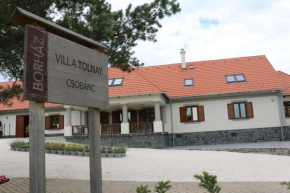  Villa Tolnay Vendégház  Дьюалкеши